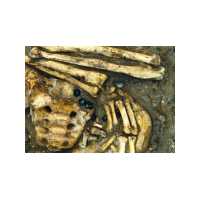 Gagatperlen einer Gebetskette /Zählschnur in einem spätmittelalterlichen Grab
