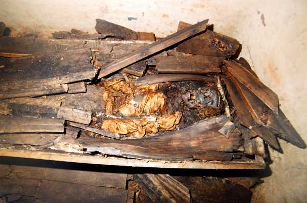 Der Oberkörper der Mumie