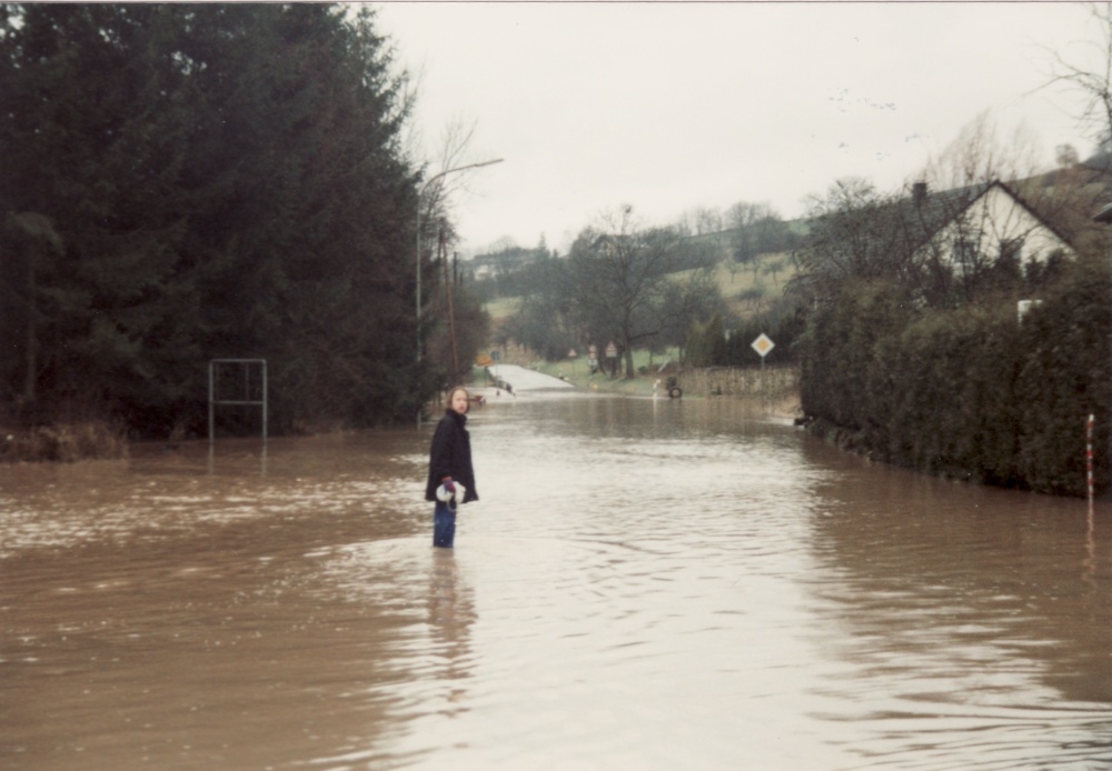 Hochwasser Bliesgau 1993