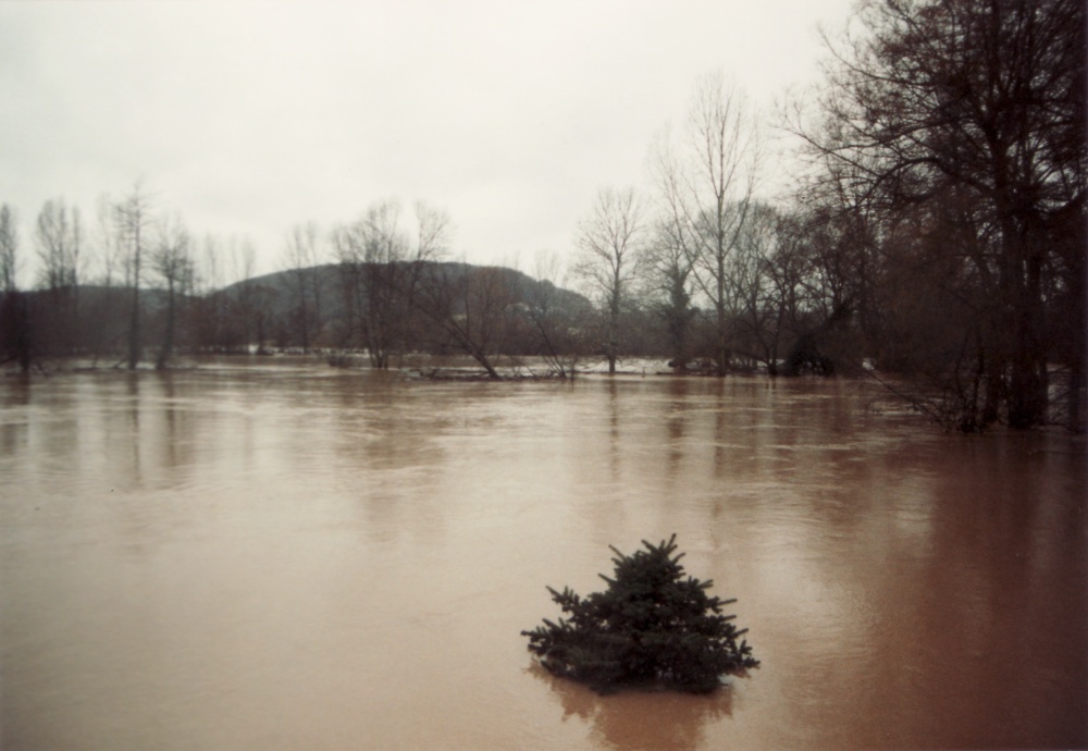 Hochwasser Bliesgau 1993