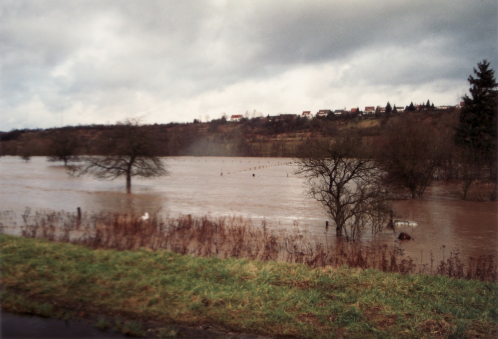 Hochwasser Bliesgau 1993