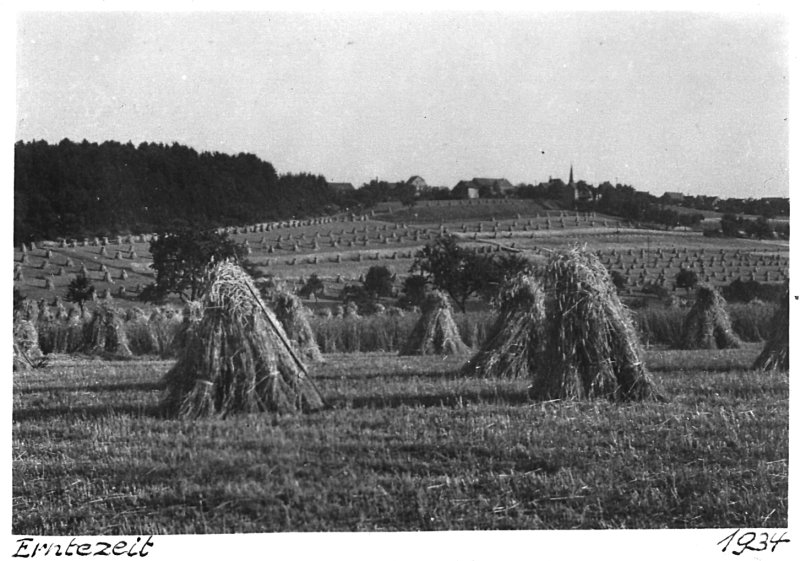 Getreidegarben Erntezeit Rheinland, 1934
