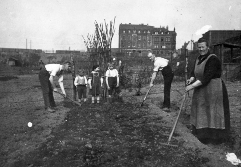 Arbeit im vorstädtischen Kleingarten, wohl 1920er.