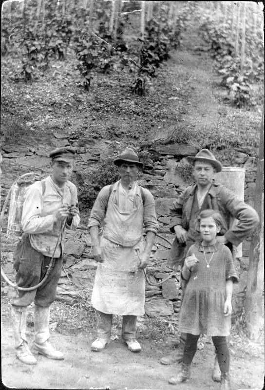 Spritzmittelkolonne am Weinberg, Rheinland um 1930