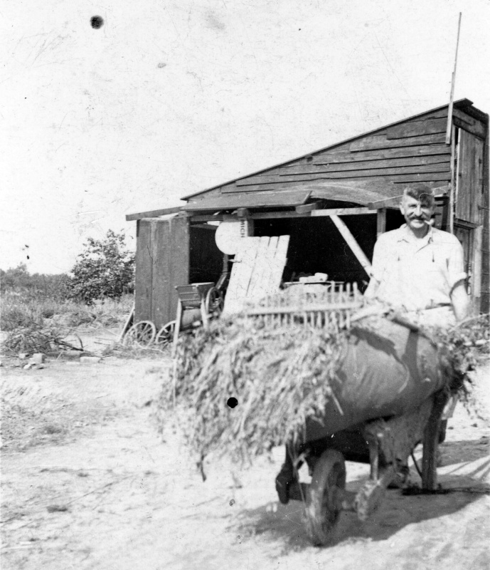 Mann mit Schubkarren voller Heu, Saarbrücken 1930er