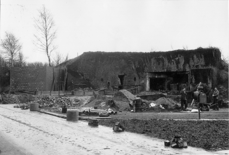 Baubeginn Café Rosengarten 1960