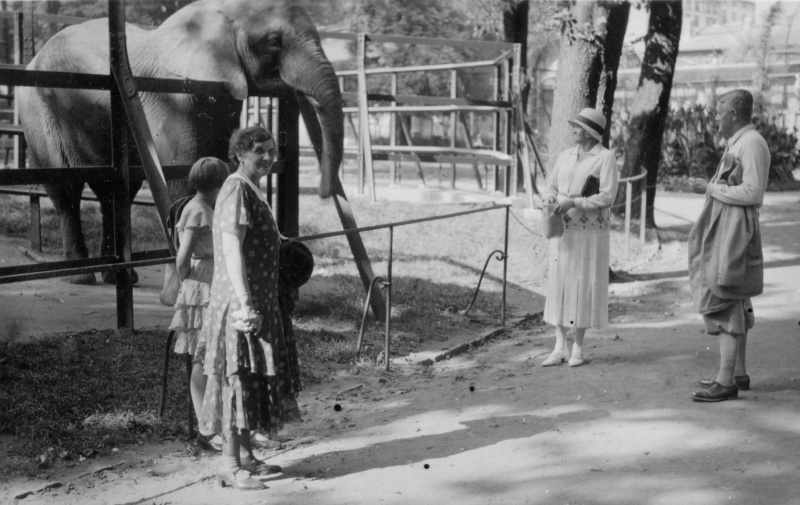 Am Elefantengehege im Zoo, wohl späte 1920er