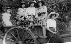 Fünf Frauen mit Hut auf Pferdewagen, um 1920