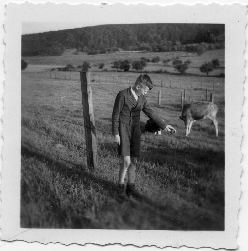 Junge an der Kälberweide, Saarbrücken um 1940