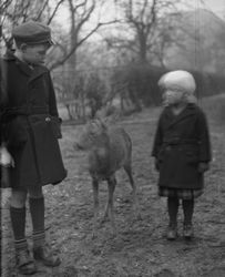 Kinder mit zahmem Reh, wohl 1930er Jahre