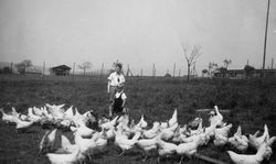 Kinder im Geflügelhof, Saarbrücken um 1940