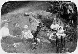 Familie mit flüchtigem Schnauzer, wohl um 1900-1910