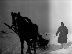 Pferdeschlitten Mittelrussland Winter 1941