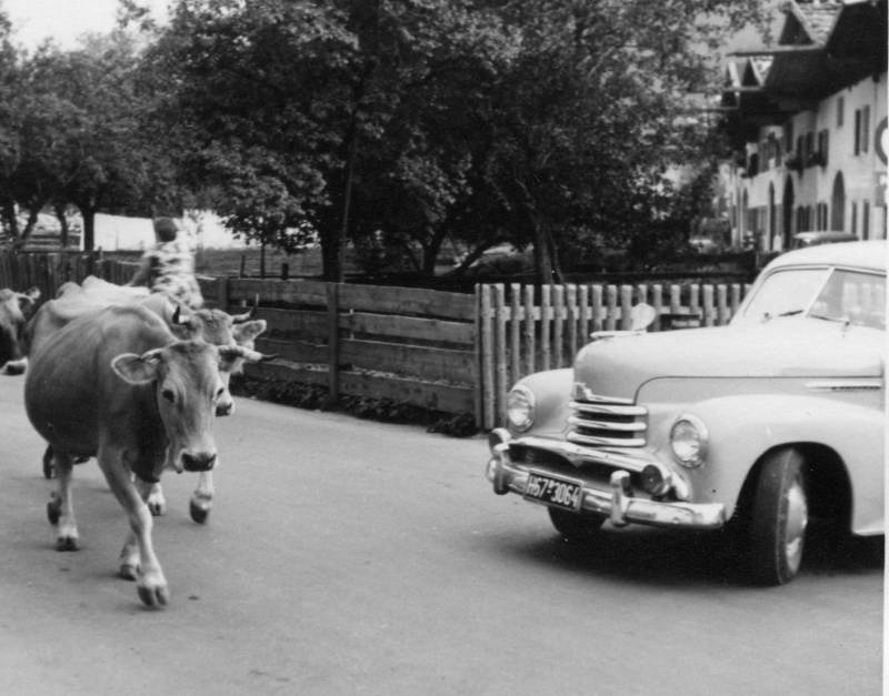 Ausflug zum Almabtrieb in Mittenwald 1953